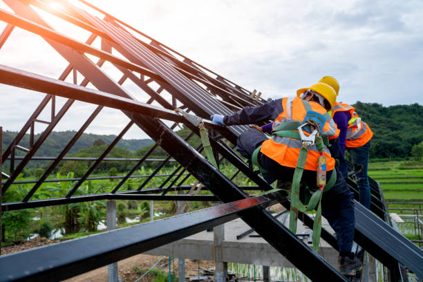 Best Shingle Roofing Installation  in Terrell, TX
