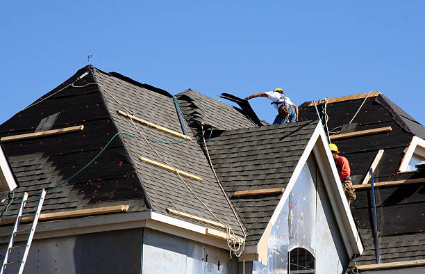 Best Local Roofing Companies  in Terrell, TX
