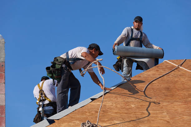 Best Residential Roofing Contractor  in Terrell, TX