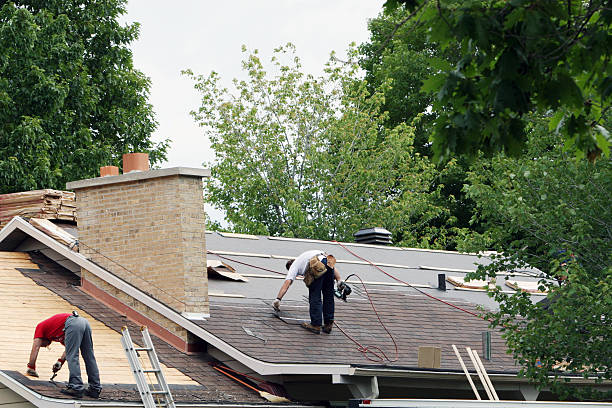 Best Metal Roofing Contractor  in Terrell, TX