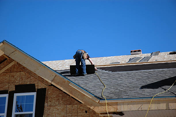 Best Metal Roofing Contractor  in Terrell, TX