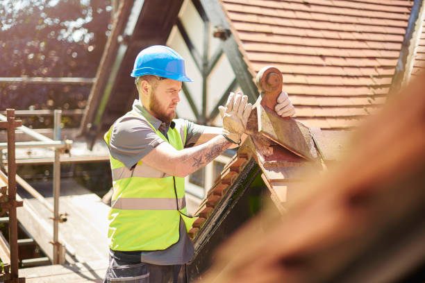 Best Residential Roofing Contractor  in Terrell, TX